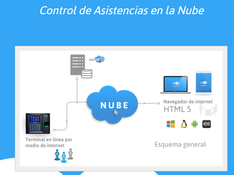 TA.CLOUD Software para Control de Asistencias en la Nube Empresarial - Primer año